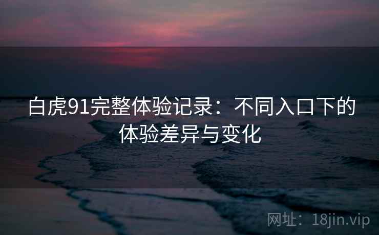 白虎91完整体验记录：不同入口下的体验差异与变化
