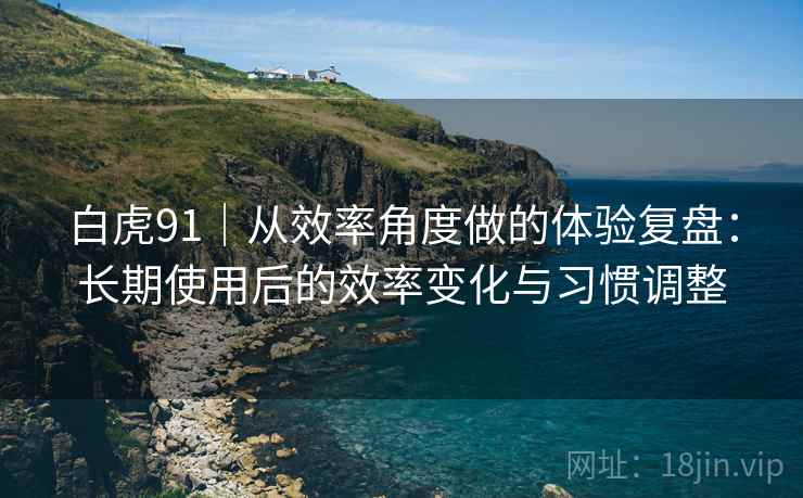 白虎91｜从效率角度做的体验复盘：长期使用后的效率变化与习惯调整