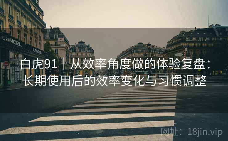 白虎91｜从效率角度做的体验复盘：长期使用后的效率变化与习惯调整