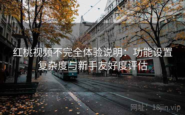 红桃视频不完全体验说明：功能设置复杂度与新手友好度评估