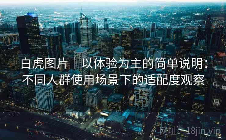 白虎图片｜以体验为主的简单说明：不同人群使用场景下的适配度观察