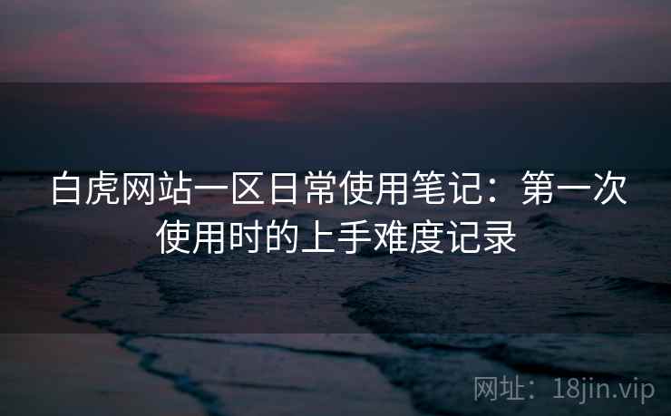 白虎网站一区日常使用笔记：第一次使用时的上手难度记录