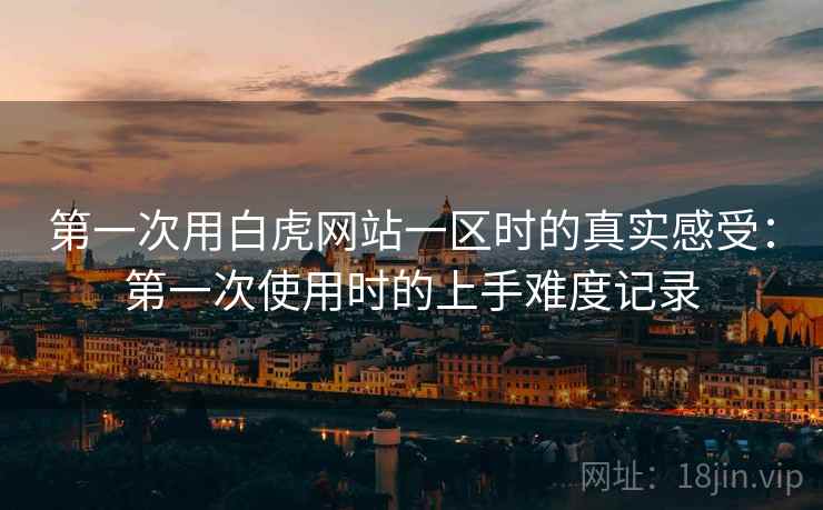 第一次用白虎网站一区时的真实感受：第一次使用时的上手难度记录