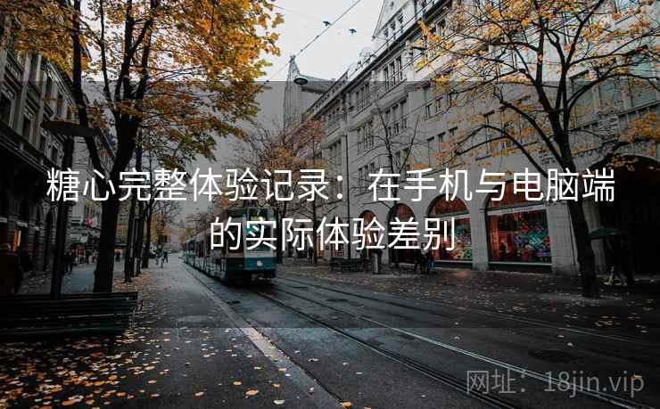 糖心完整体验记录：在手机与电脑端的实际体验差别