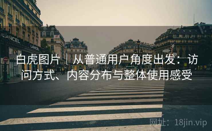 白虎图片｜从普通用户角度出发：访问方式、内容分布与整体使用感受