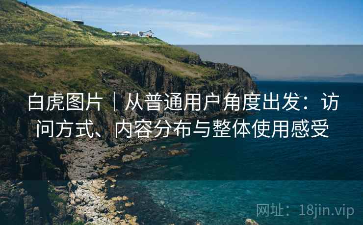 白虎图片｜从普通用户角度出发：访问方式、内容分布与整体使用感受