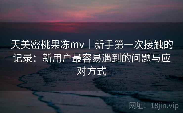 天美密桃果冻mv｜新手第一次接触的记录：新用户最容易遇到的问题与应对方式