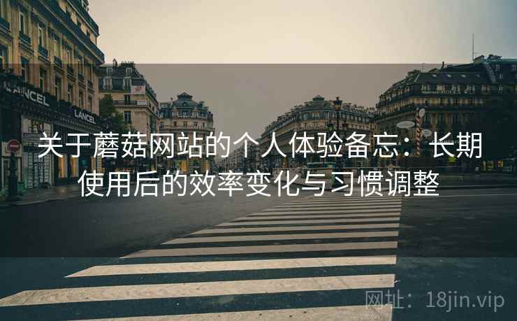 关于蘑菇网站的个人体验备忘：长期使用后的效率变化与习惯调整