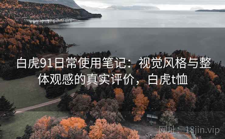 白虎91日常使用笔记：视觉风格与整体观感的真实评价，白虎t恤