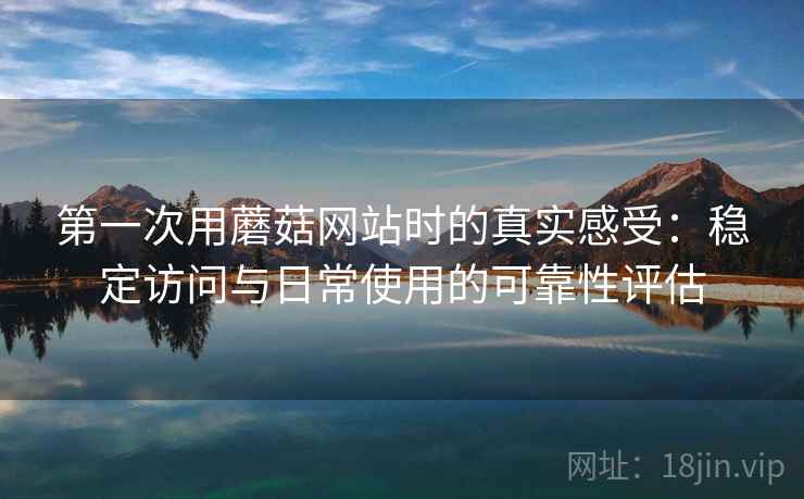 第一次用蘑菇网站时的真实感受：稳定访问与日常使用的可靠性评估