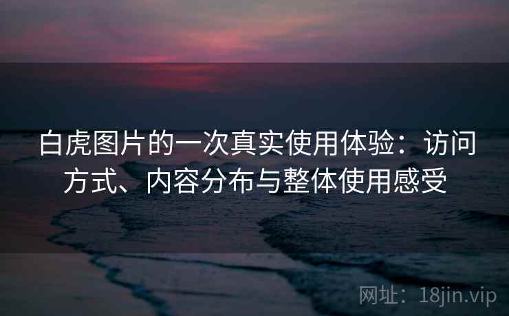 白虎图片的一次真实使用体验：访问方式、内容分布与整体使用感受