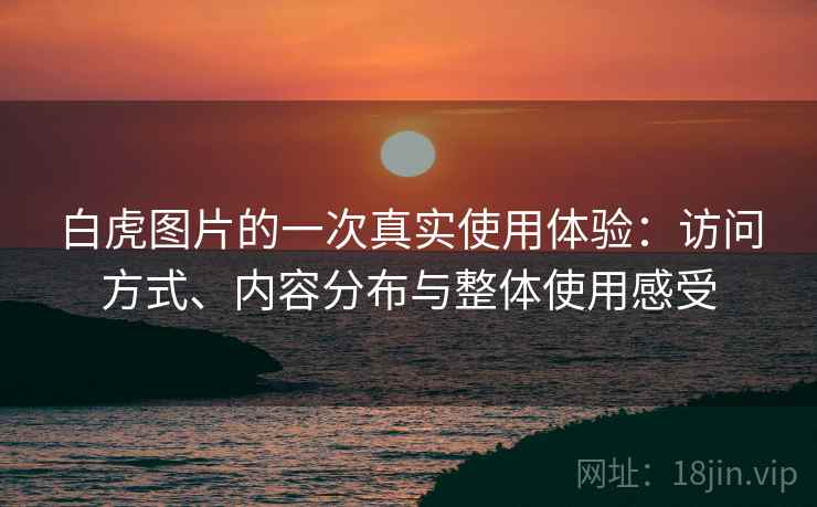 白虎图片的一次真实使用体验：访问方式、内容分布与整体使用感受