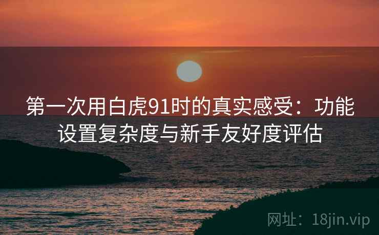 第一次用白虎91时的真实感受：功能设置复杂度与新手友好度评估