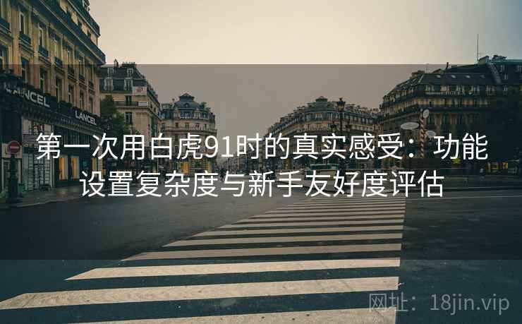 第一次用白虎91时的真实感受：功能设置复杂度与新手友好度评估