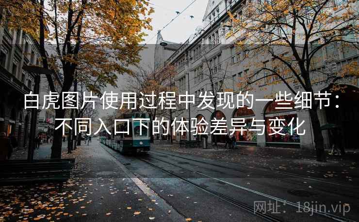 白虎图片使用过程中发现的一些细节：不同入口下的体验差异与变化