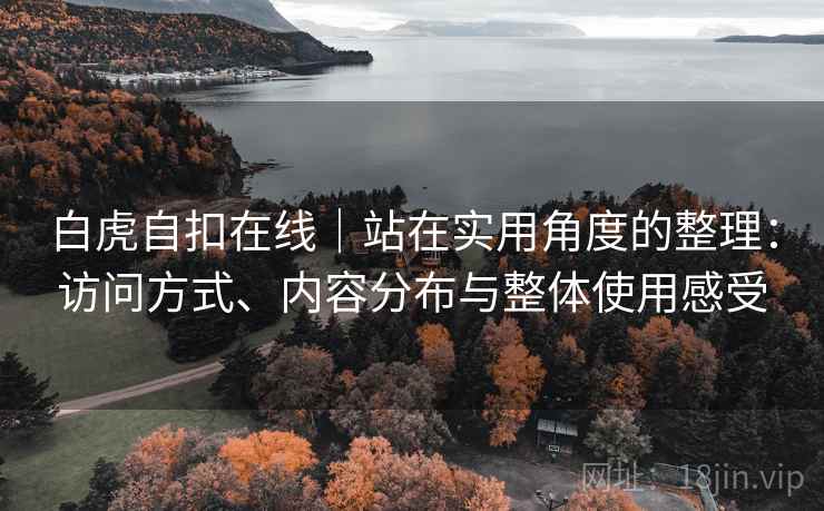白虎自扣在线｜站在实用角度的整理：访问方式、内容分布与整体使用感受