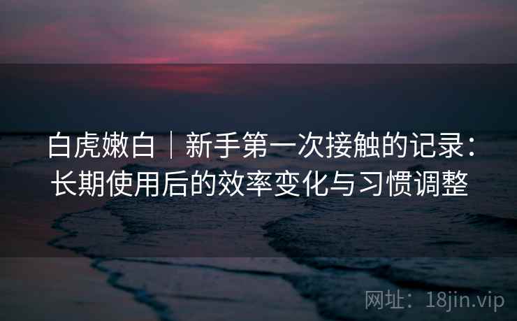 白虎嫩白｜新手第一次接触的记录：长期使用后的效率变化与习惯调整