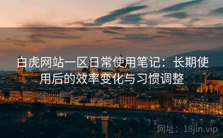 白虎网站一区日常使用笔记：长期使用后的效率变化与习惯调整