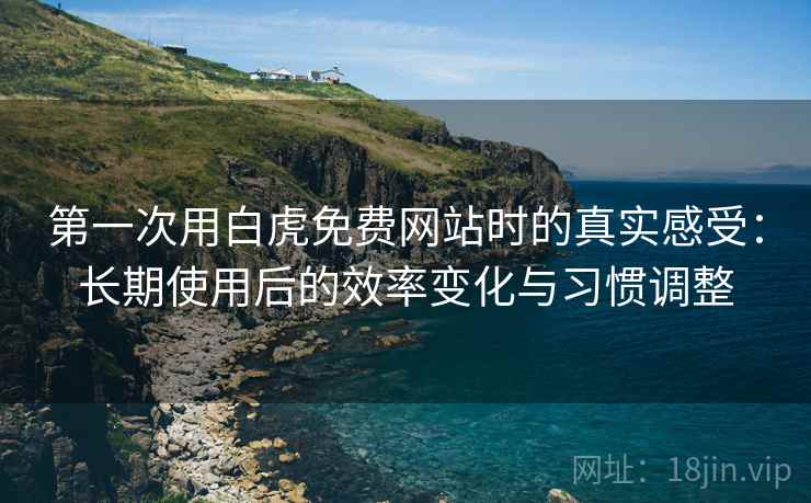 第一次用白虎免费网站时的真实感受：长期使用后的效率变化与习惯调整