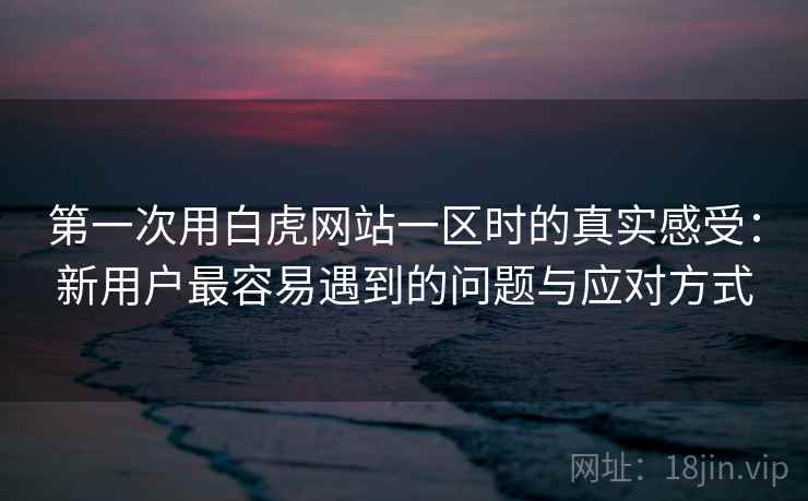 第一次用白虎网站一区时的真实感受：新用户最容易遇到的问题与应对方式
