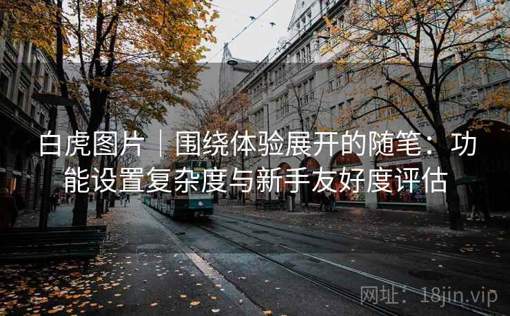 白虎图片|围绕体验展开的随笔:功能设置复杂度与新手友好度评估 白虎图片|围绕体验展开的随笔:功能设置复杂度与新手友好度评估