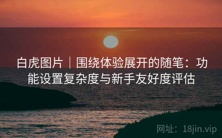 白虎图片｜围绕体验展开的随笔：功能设置复杂度与新手友好度评估